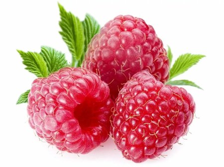 Малина вилламет