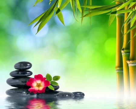 Фон для расслабления