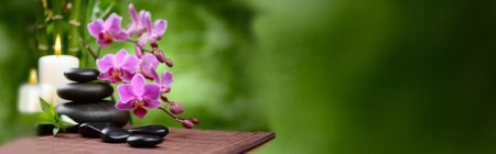 Цветок орхидеи