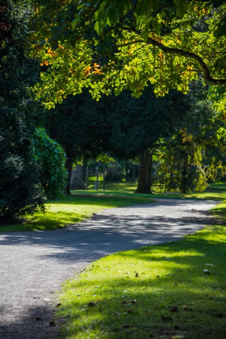 Зеленый парк