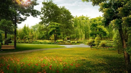 Летний парк