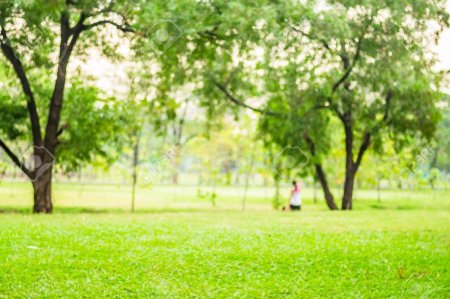 Размытый фон парк