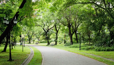 АРК «зелёный сквер», Бараул