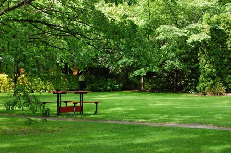 Газон Lawn Park