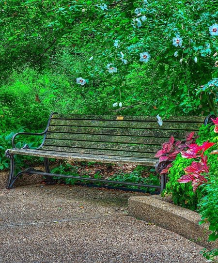 Скамейка в парке