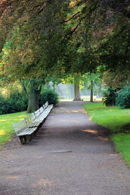 Красивые дорожки в парке