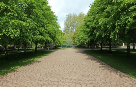 Аллея в парке Смоленск