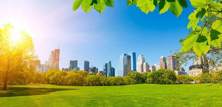 Центральный парк в нью йорке