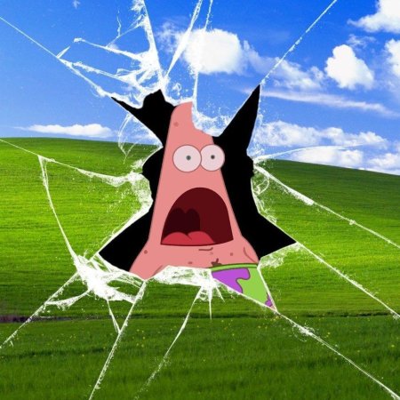 Microsoft windows xp