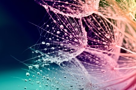 Фон для рабочего стола