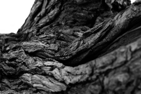 Каменный уголь текстура