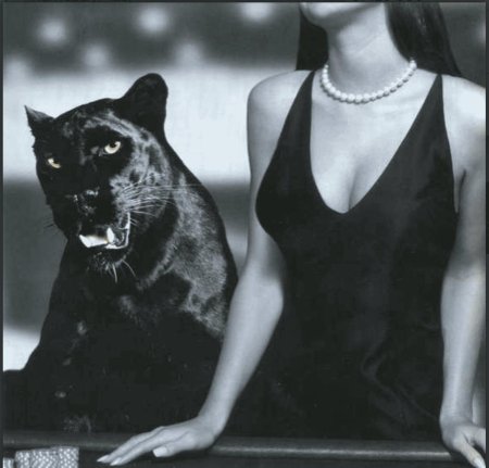 Женщина пантера