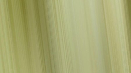 Болотный цвет фон