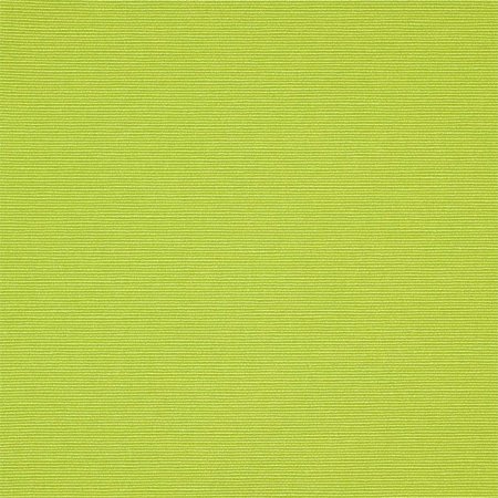 Пленка риф лайм