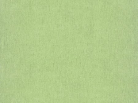 Фисташковый u6501