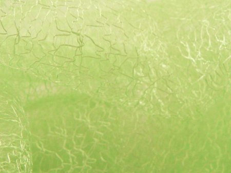 Фисташковый цвет фон