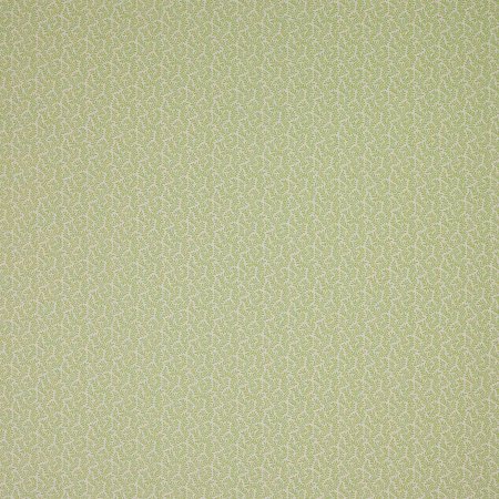 Фон фисташковый нежный