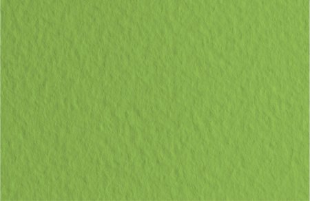 Зеленый цвет однотонный