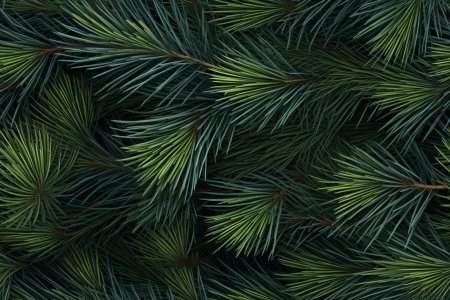 Хвойный фон