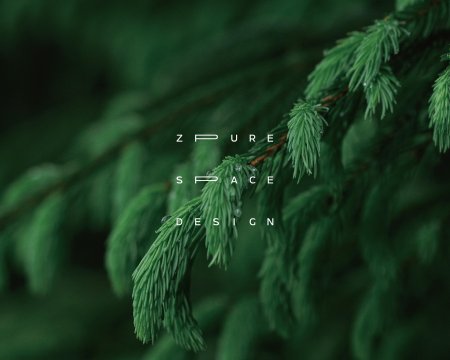 Еловые ветки Эстетика