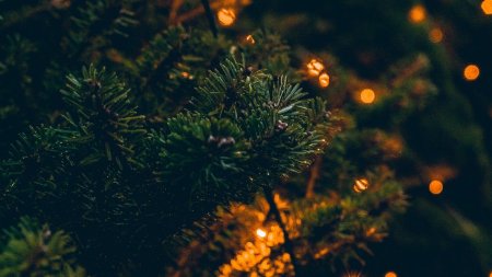 Новогодняя елка с огоньками