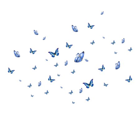 Стая бабочек на прозрачном фоне