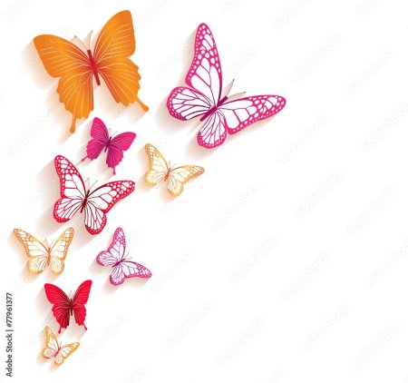 Розовая бабочка