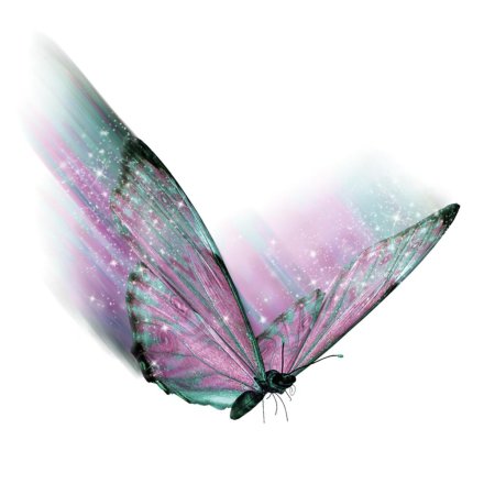 Бабочки для фотошопа