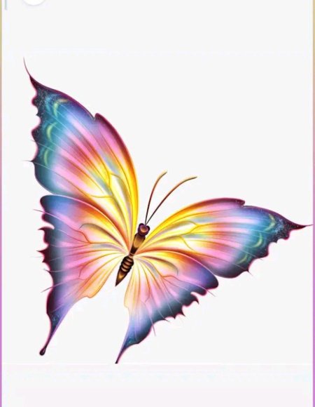 Бабочка на прозрачном фоне