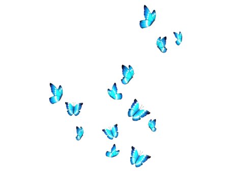 Много бабочек на прозрачном фоне