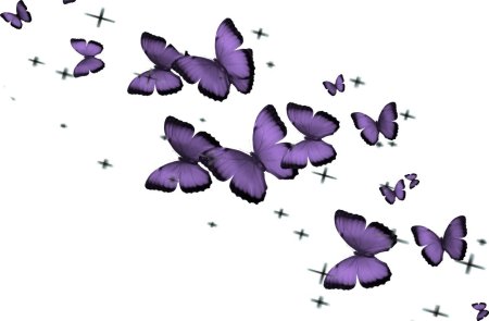 Красивые бабочки на прозрачном фоне