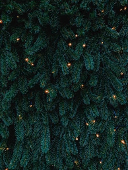 Новогодняя заставка на компьютер