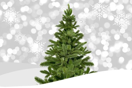 Новогодняя елка