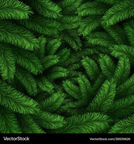 Хвоя текстура