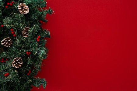 Новогодняя ветка