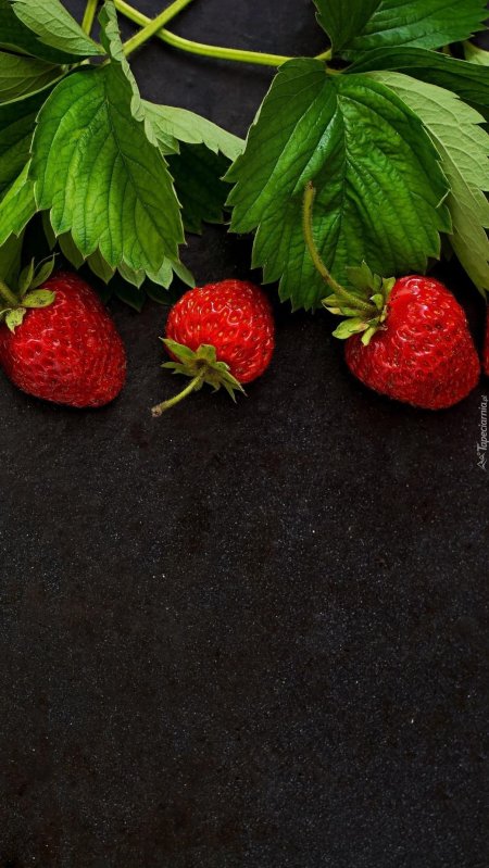 Черная клубника