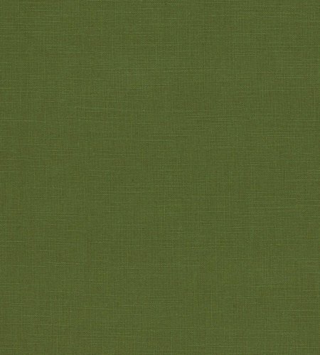 Обои оливкового цвета