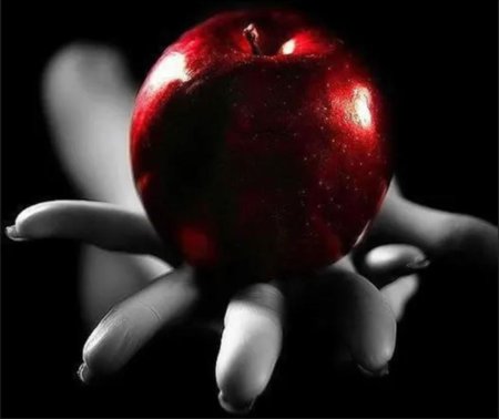 Запретный плод яблоко