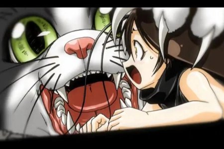 Гокича таракан аниме