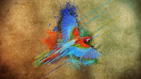 Обои с попугаями