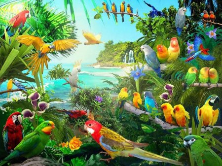 Попугаи в джунглях