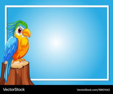 Фоторамка "попугай"