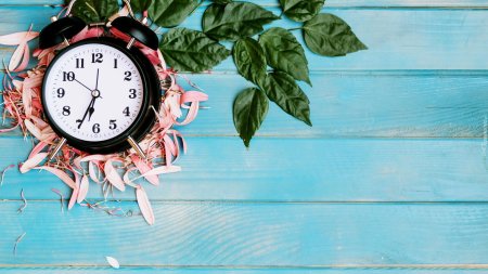 Режим работы фон