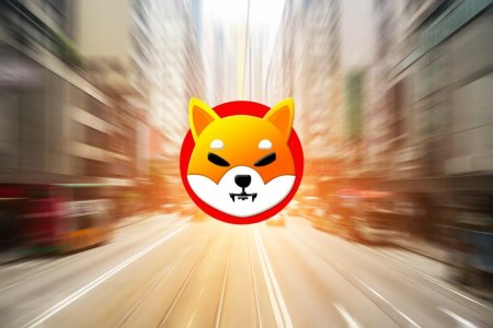 Шиба ину криптовалюта