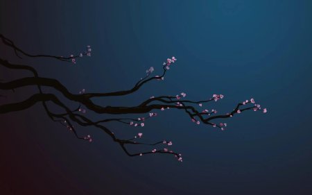 Сакура Минимализм