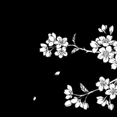 Сакура черно белая