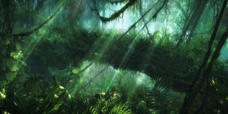 Джунгли акапал геншин