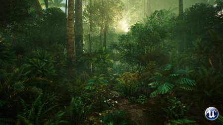 Дикие джунгли, арт. Id137763