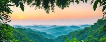 Тропические пейзажи