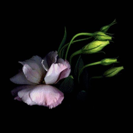 Магда индиго